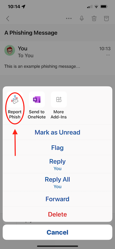 mobileapp2.png