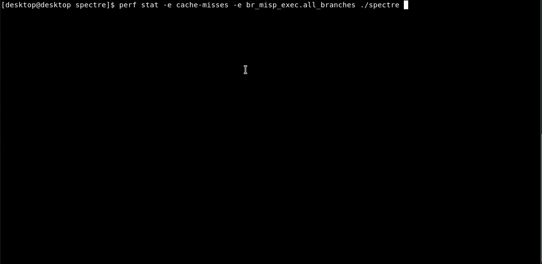 spectre-branch-cache.gif